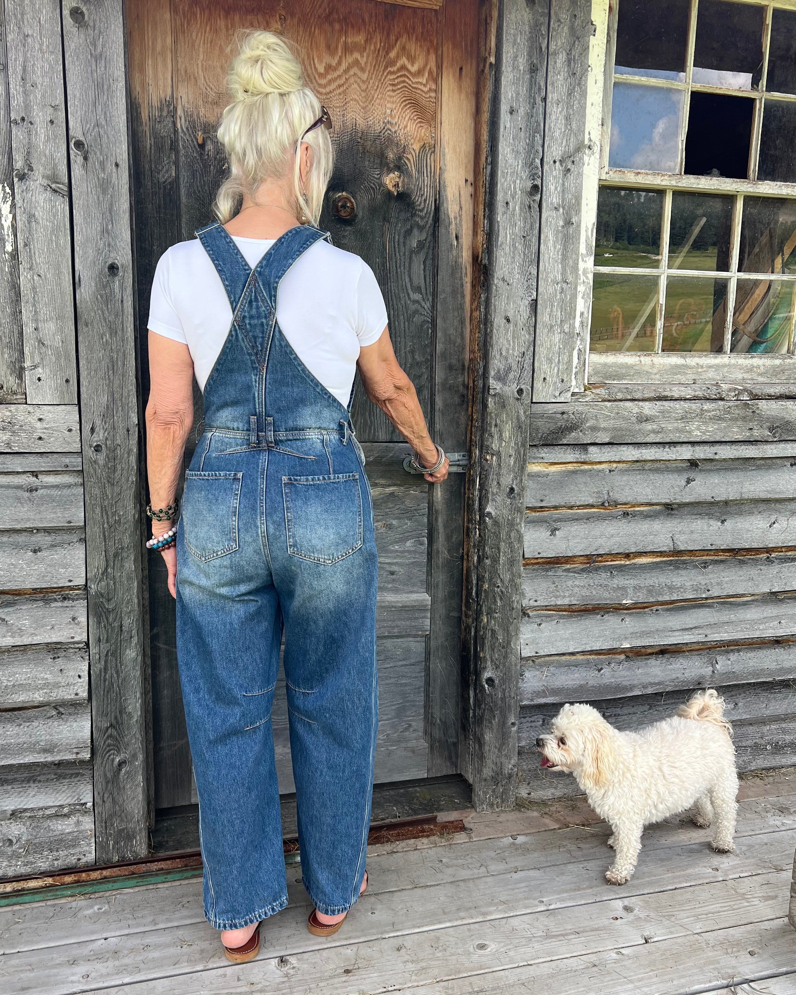 Daydream Barrel Overalls